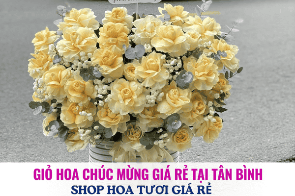 Giỏ hoa chúc mừng giá rẻ tại Tân Bình – Sang trọng, Ý nghĩa